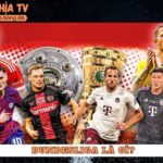 Bundesliga Là Gì? Tìm Hiểu Giải Vô Địch Quốc Gia Đức