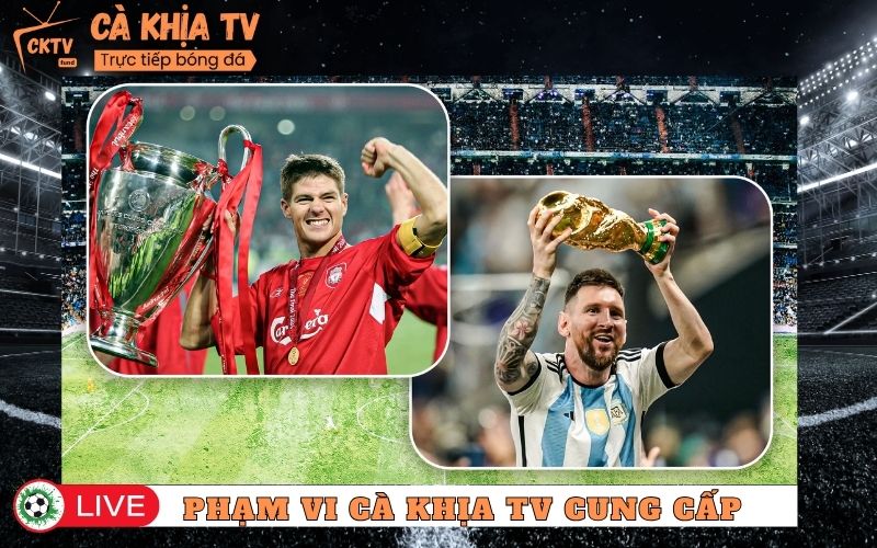 Phạm vi dịch vụ mà website cung cấp