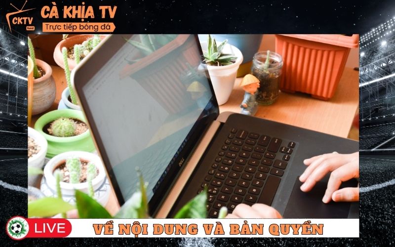 Quy định về nội dung, bản quyền và cách sử dụng thông tin